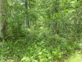 37-IMG_3349_1.jpg