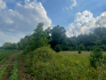 37.9acres10.png