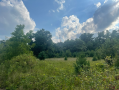 37.9acres11.png