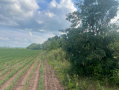 37.9acres12.png