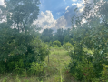 37.9acres13.png