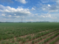 37.9acres15.png