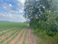 37.9acres16.png