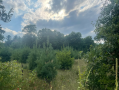 37.9acres20.png