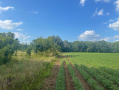 37.9acres24.png
