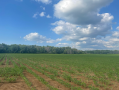 37.9acres26.png