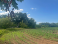 37.9acres28.png