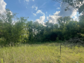 37.9acres9.png