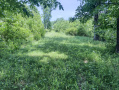 38-IMG_3350_1.jpg