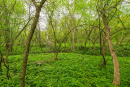 3F9A0615.jpg