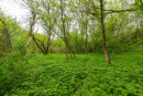 3F9A0617.jpg