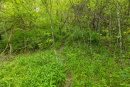 3F9A0620.jpg