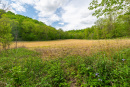 3F9A0648.jpg