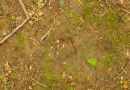 3F9A1069.jpg