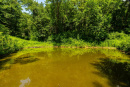 3F9A3253.jpg