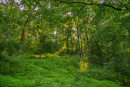 3F9A4014.jpg