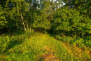 3F9A4016.jpg