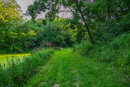 3F9A4032.jpg