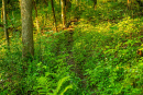 3F9A4041.jpg