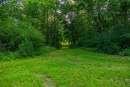 3F9A4052.jpg