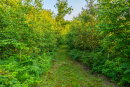 3F9A4057.jpg