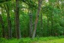 3F9A4074.jpg