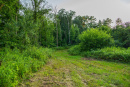 3F9A4076.jpg