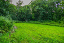 3F9A4086.jpg