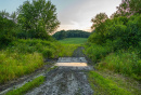 3F9A4095.jpg