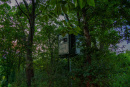 3F9A4102.jpg