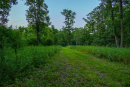 3F9A4104.jpg