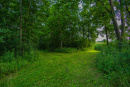 3F9A4105.jpg