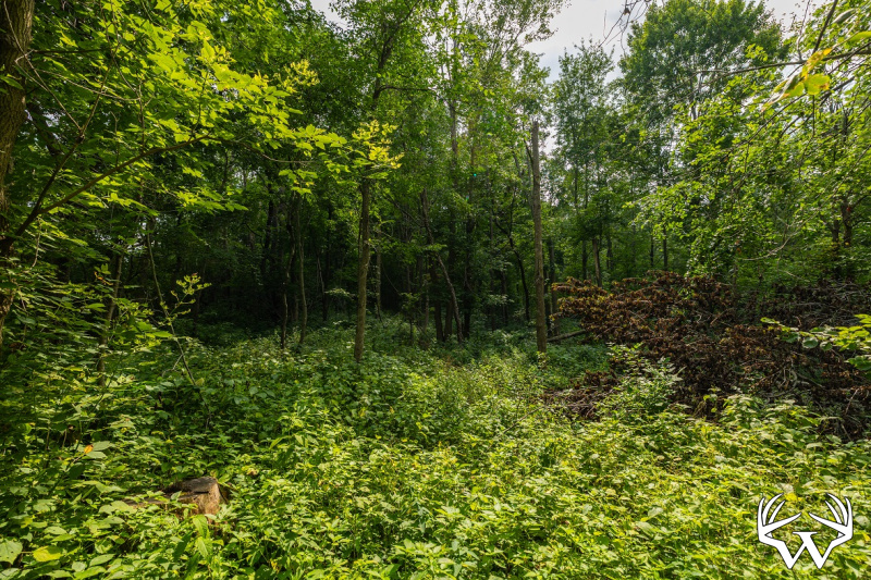 3F9A4141.jpg