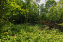 3F9A4141.jpg