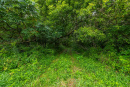 3F9A4144.jpg
