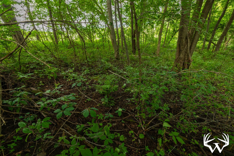 3F9A4152.jpg