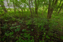 3F9A4152.jpg