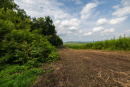 3F9A4169.jpg