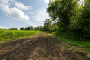 3F9A4173.jpg