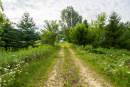 3F9A4175.jpg