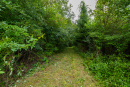 3F9A4186.jpg