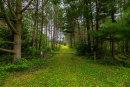 3F9A4356.jpg