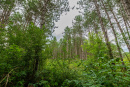 3F9A4358.jpg
