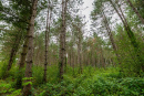 3F9A4360.jpg