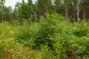 3F9A4361.jpg