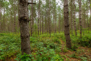 3F9A4364.jpg