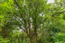 3F9A4376.jpg