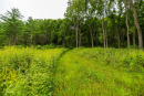 3F9A4382.jpg