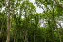 3F9A4384.jpg