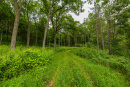 3F9A4385.jpg